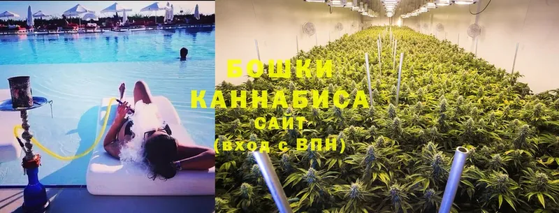 Бошки марихуана Ganja  Грязи 